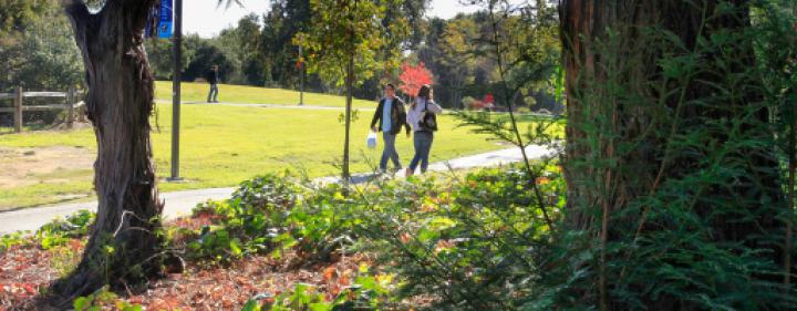 students walking in a wooded area