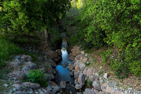 vasona creek