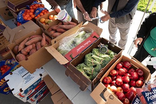 boxes with fresh produce