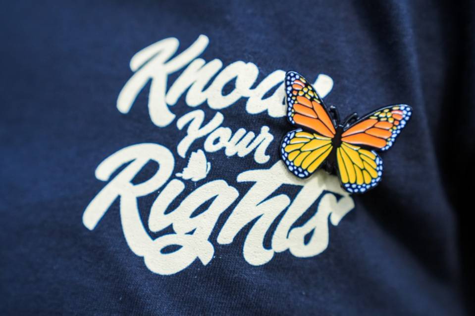 know your rights typography with a monarch butterfly