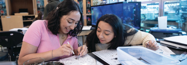 Two students focused on school project